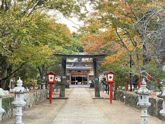 深江神社（糸島市）-0
