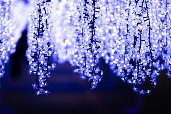 黒崎地区イルミネーション2025-0