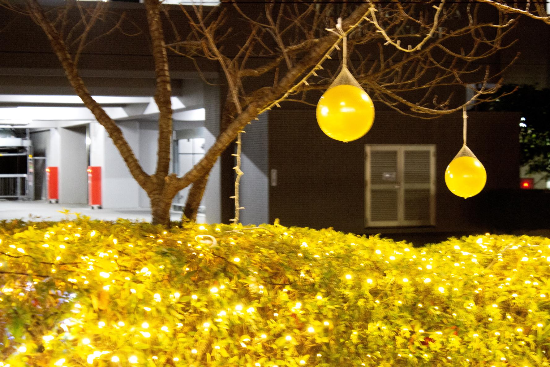 古賀クリスマスマーケット-1