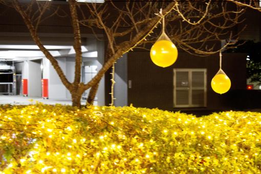 古賀クリスマスマーケット-1