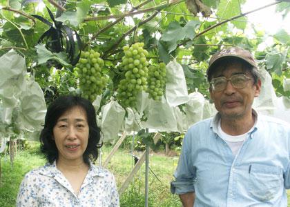 高山果樹園（久留米市）