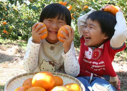 岩佐農園（久留米市）