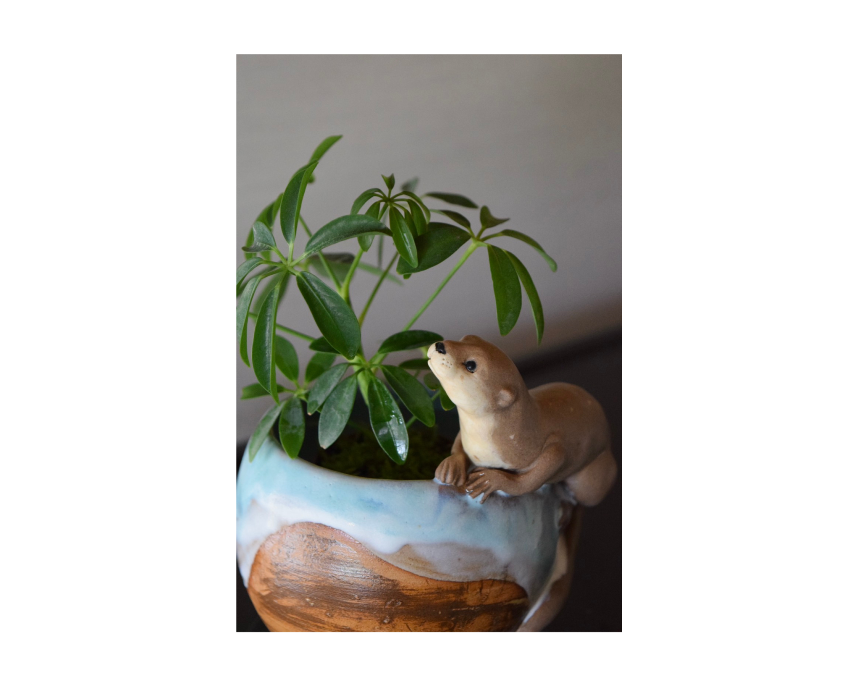 【アクロス福岡】上野焼守窯 作陶展-3