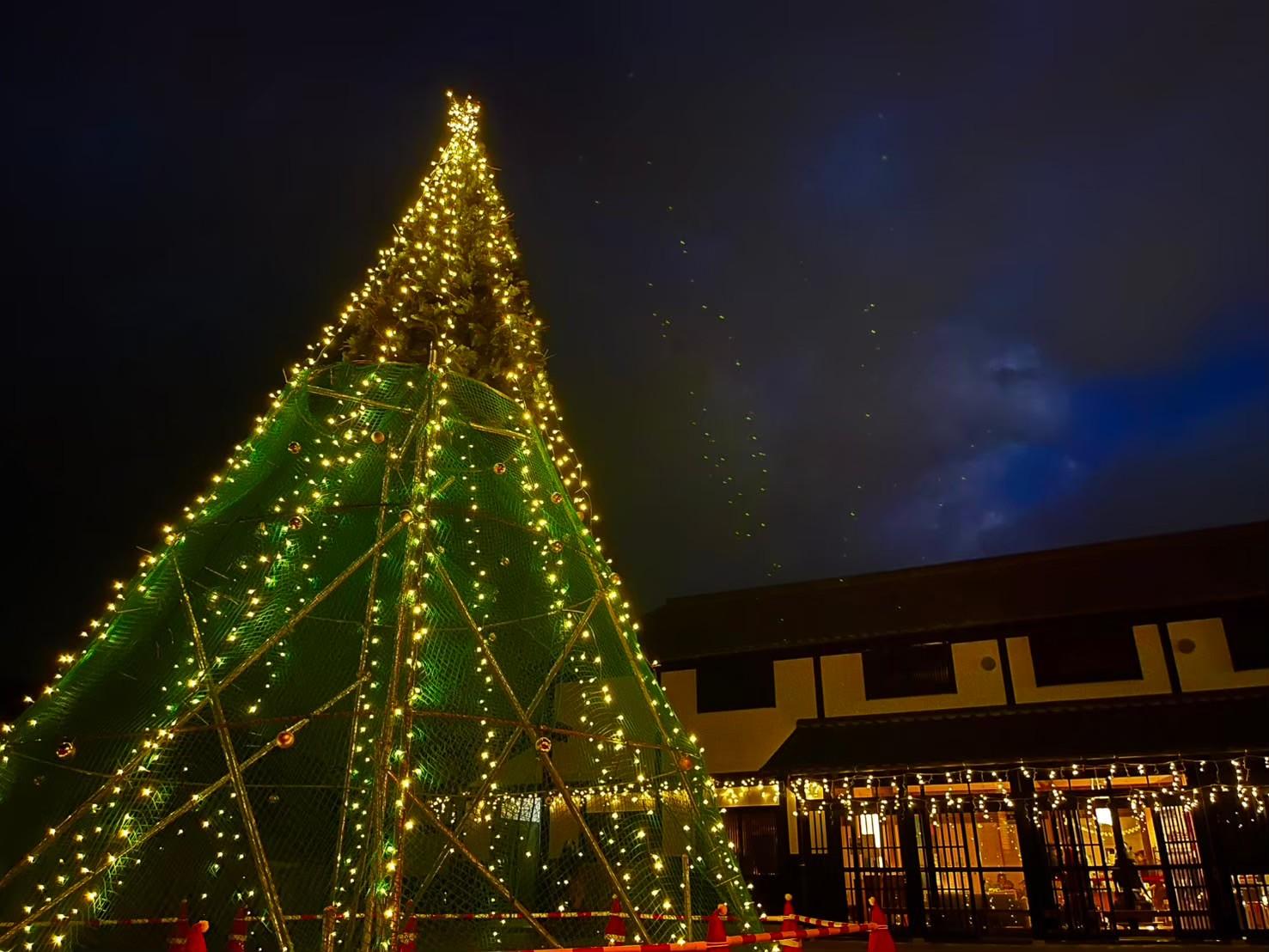 津屋崎千軒なごみイルミネーション（福津市）