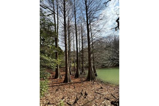 「森林セラピー＆X’mas リースづくり体験」モニターツアー-5