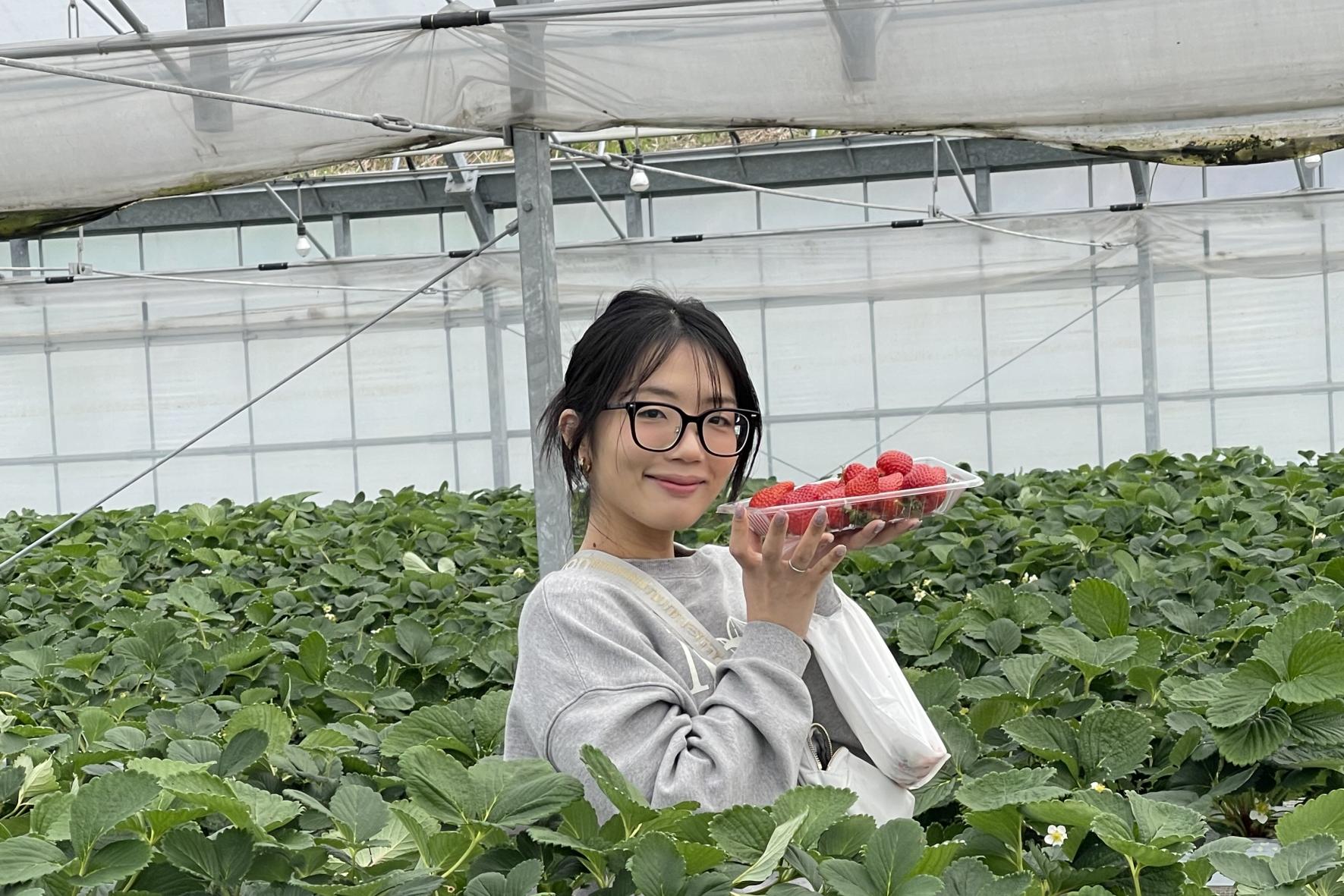 「津屋崎千軒」と「ふくつのいちご」展-3