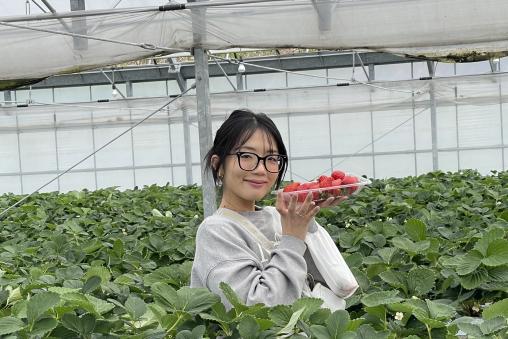 「津屋崎千軒」と「ふくつのいちご」展-3