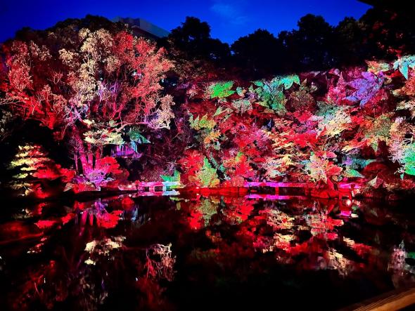 友泉亭公園プロジェクションマッピング 「もみじの宴　春夏秋冬2025」-2