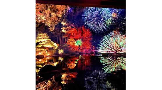 友泉亭公園プロジェクションマッピング 「もみじの宴　春夏秋冬2025」-5