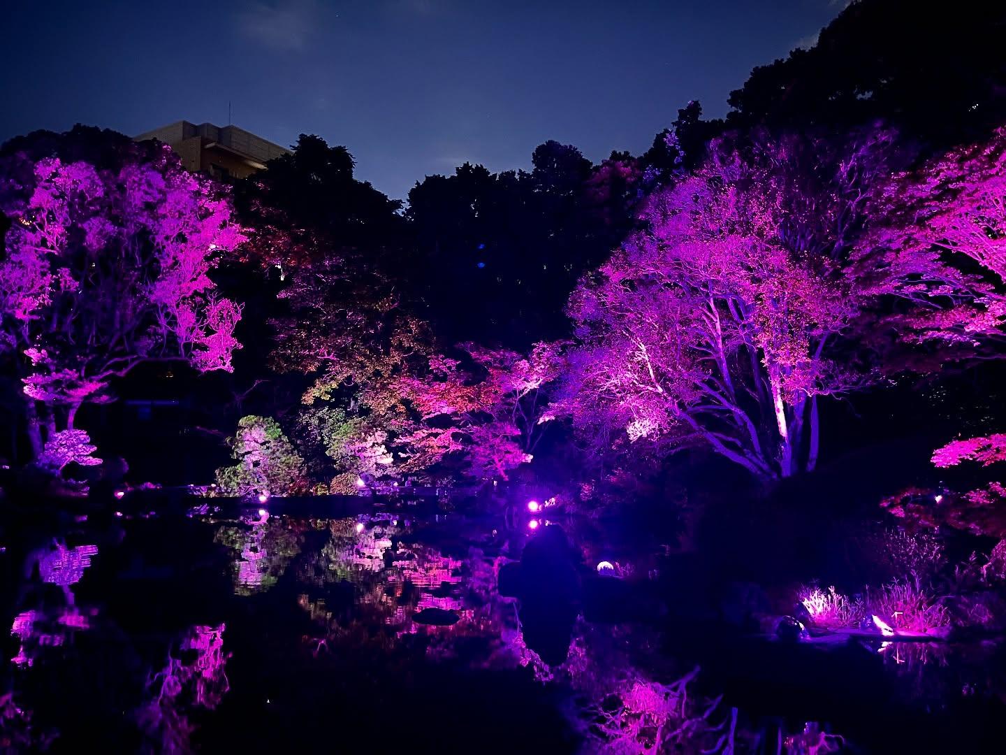 友泉亭公園プロジェクションマッピング 「もみじの宴　春夏秋冬2025」-4