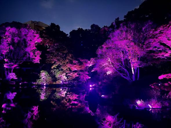 友泉亭公園プロジェクションマッピング 「もみじの宴　春夏秋冬2025」-4