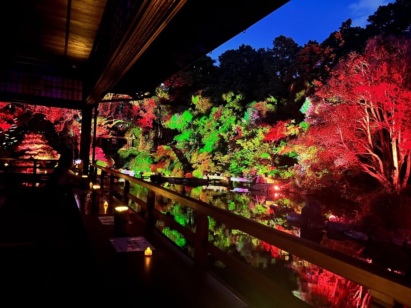 友泉亭公園プロジェクションマッピング 「もみじの宴　春夏秋冬2025」-1