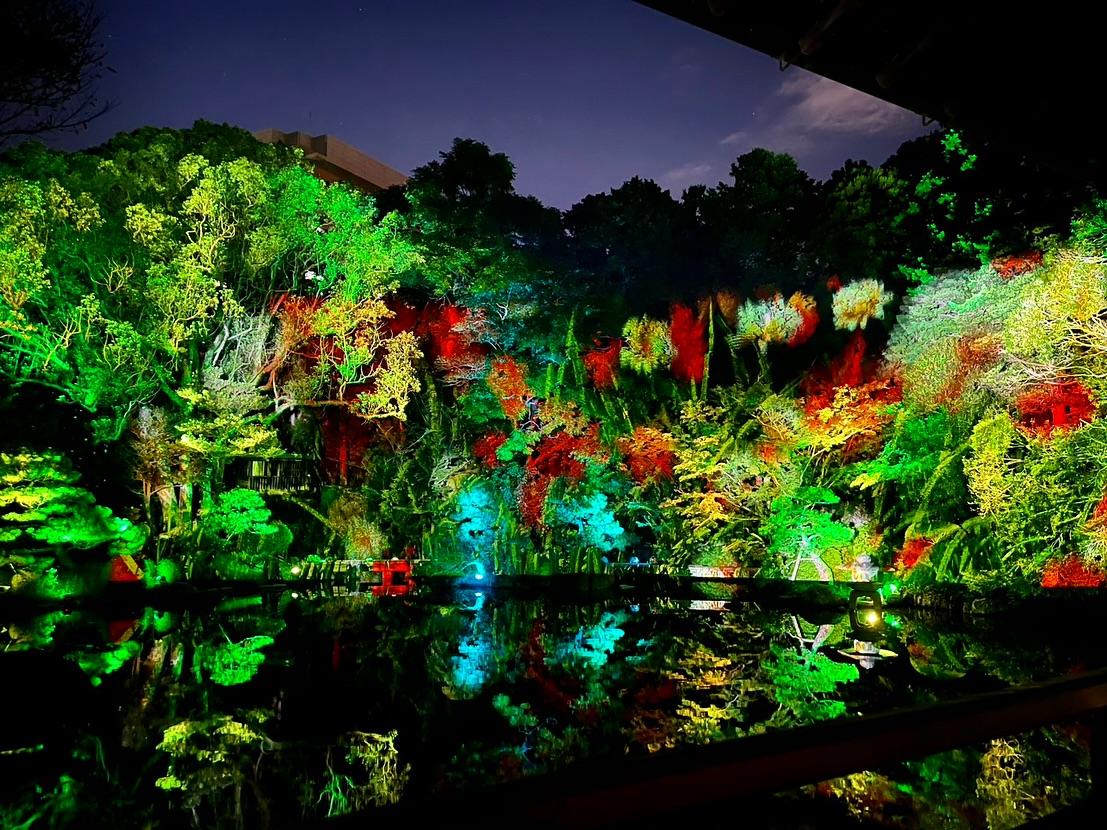 友泉亭公園プロジェクションマッピング 「もみじの宴　春夏秋冬2025」-3