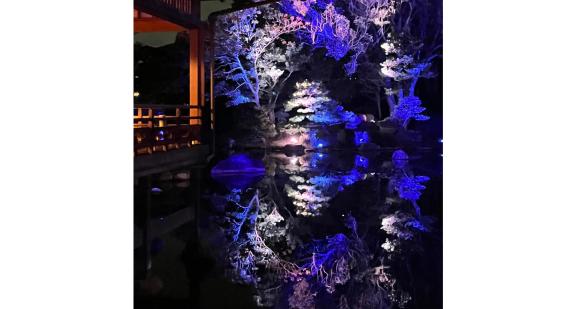 友泉亭公園プロジェクションマッピング 「もみじの宴　春夏秋冬2025」-6