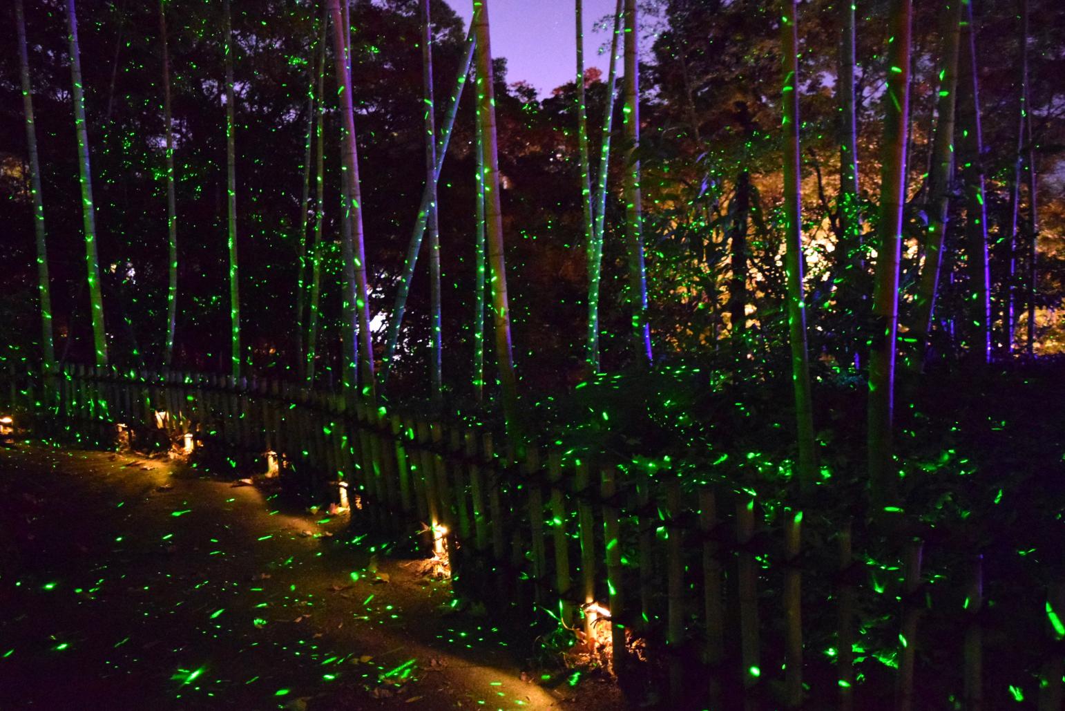 石橋文化中心 冬季燈飾「光之博物館」-5