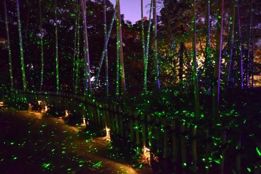 石橋文化中心 冬季燈飾「光之博物館」-5