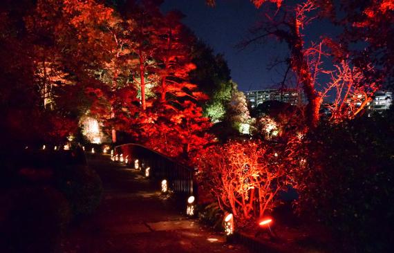 石橋文化中心 冬季燈飾「光之博物館」-9