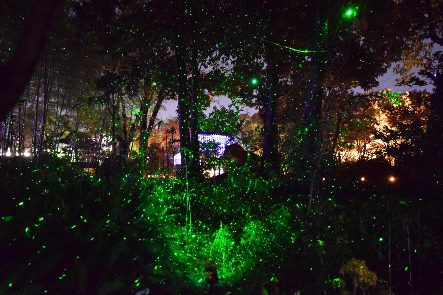 石橋文化中心 冬季燈飾「光之博物館」-6