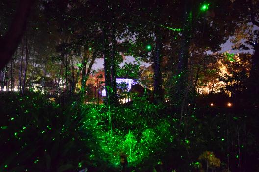 石橋文化中心 冬季燈飾「光之博物館」-6