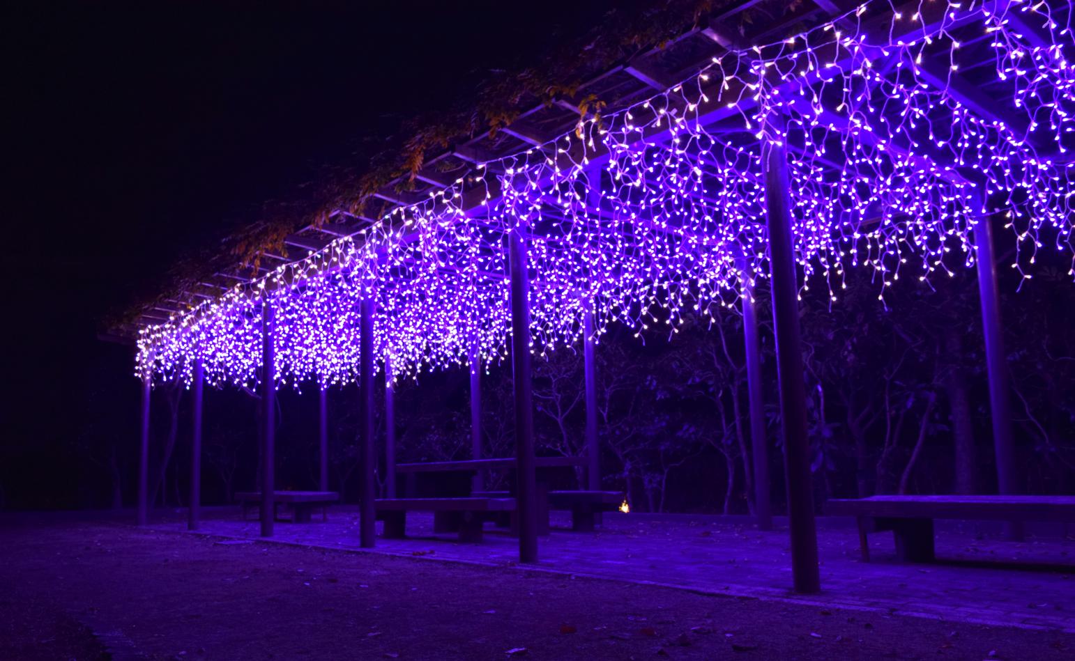 石橋文化中心 冬季燈飾「光之博物館」-8