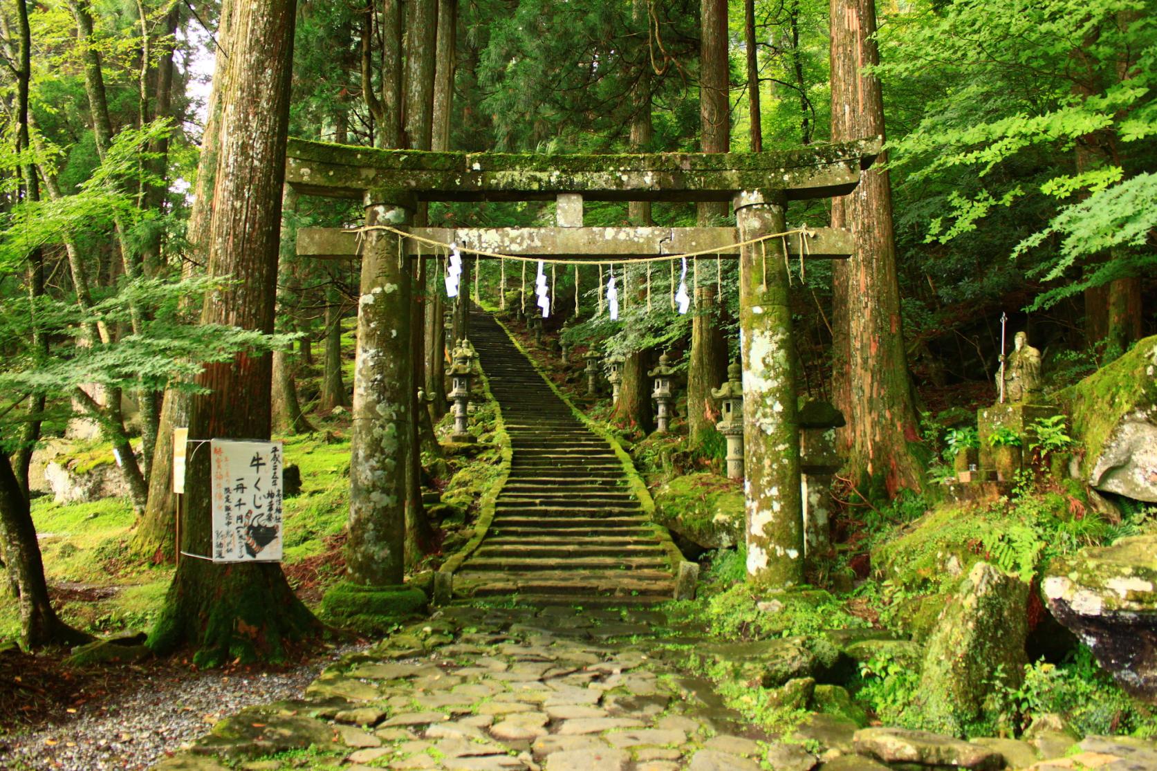 高住神社 神幸祭-2