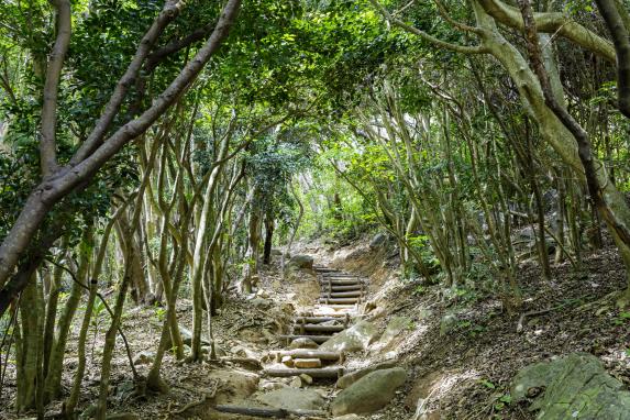 芥屋の大門公園（自然遊歩道）-0