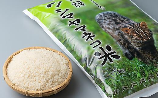 【福岡市動植物園】新春お年玉イベント-1