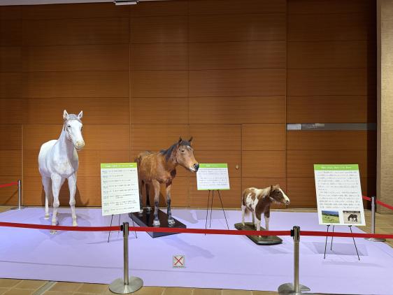 【いのちのたび博物館】干支展示-3