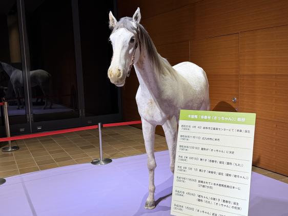 【いのちのたび博物館】干支展示-2