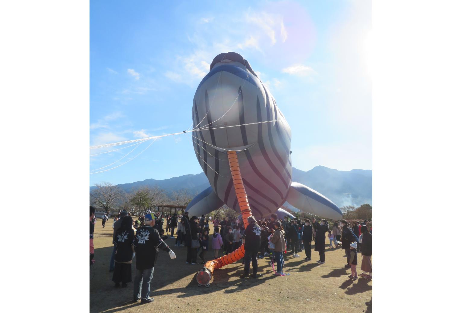 久留米ふれあい農業公園　たこあげ大会2026-6