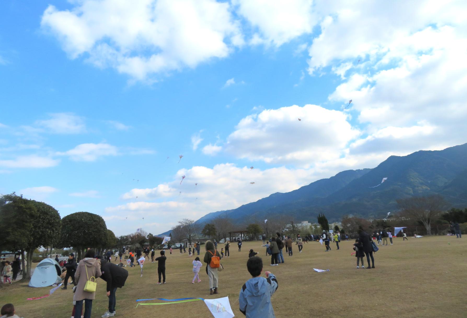 久留米ふれあい農業公園　たこあげ大会2026-1