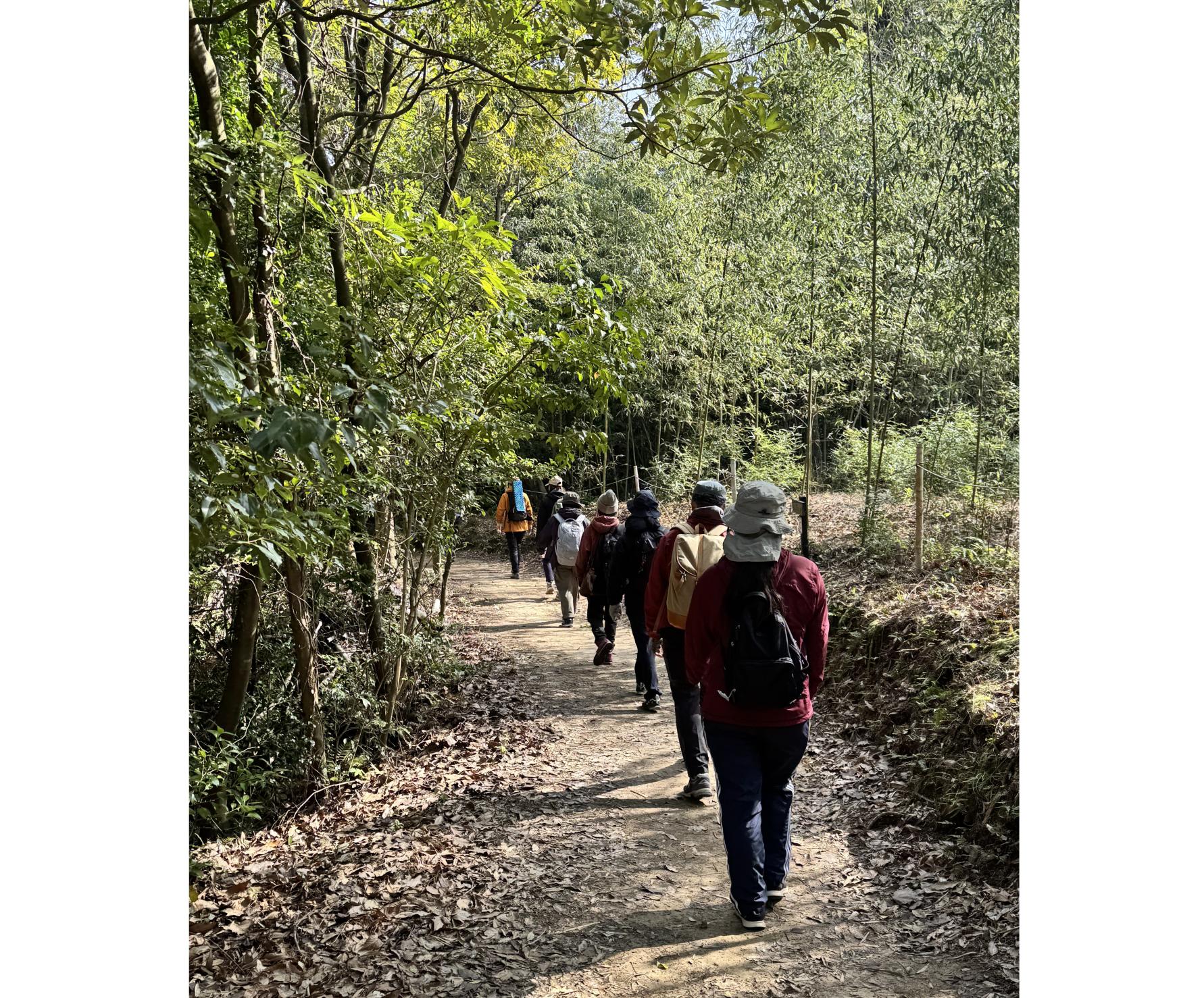 森林セラピー＆脳と心のエイジング講座-3