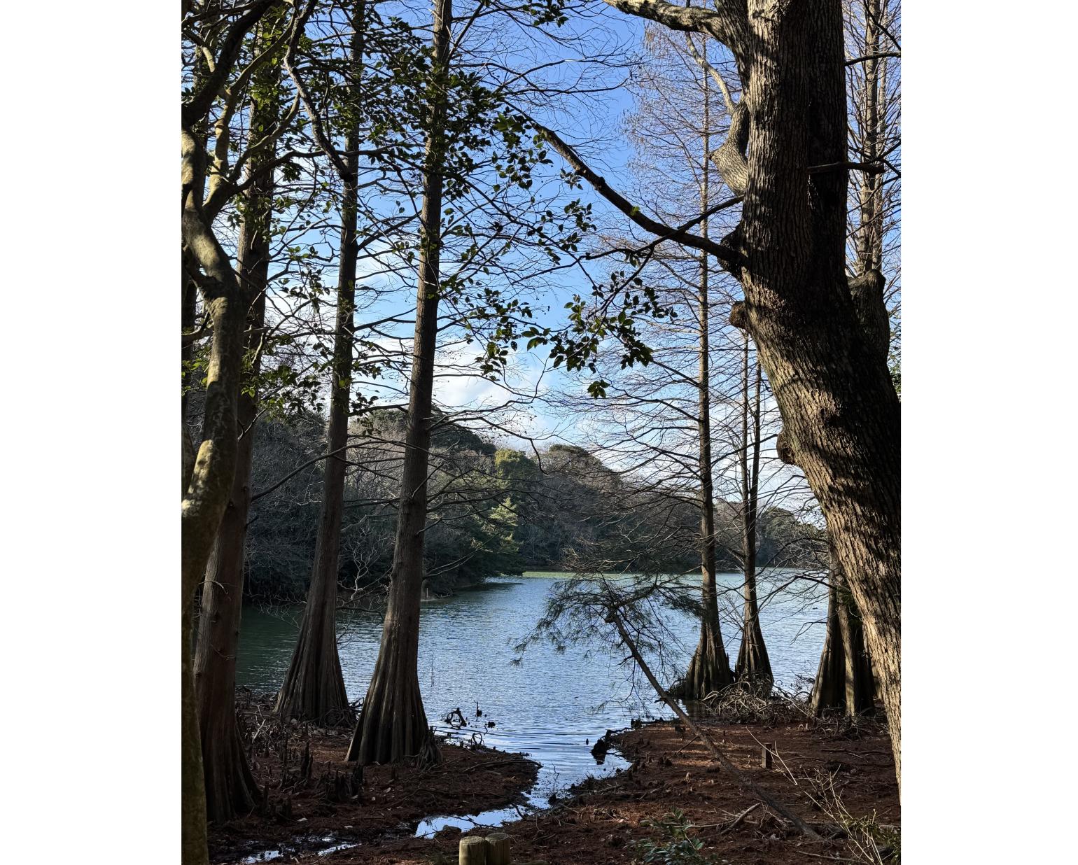 森林セラピー＆脳と心のエイジング講座-7