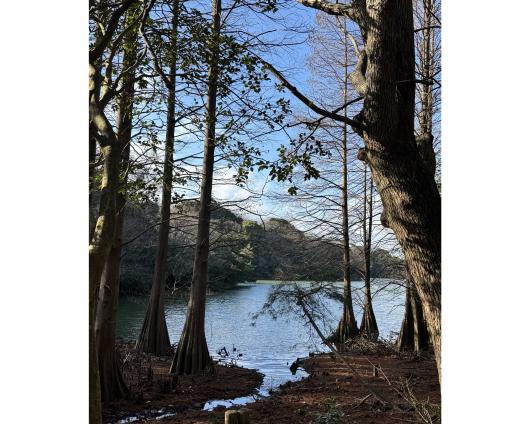 森林セラピー＆脳と心のエイジング講座-7