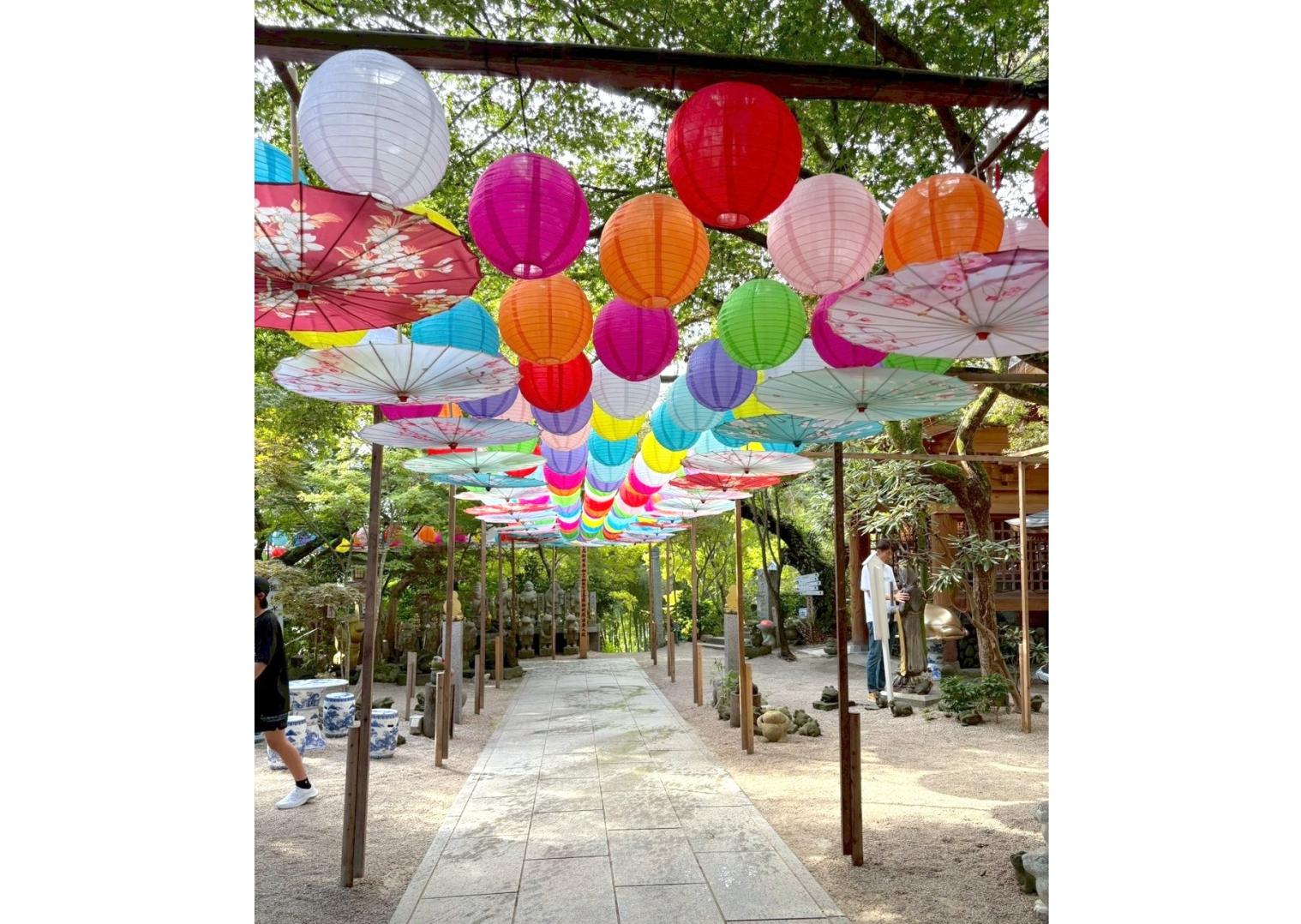 新フルーツ王国・筑後おごおり　プレミアムいちご狩りツアー-9