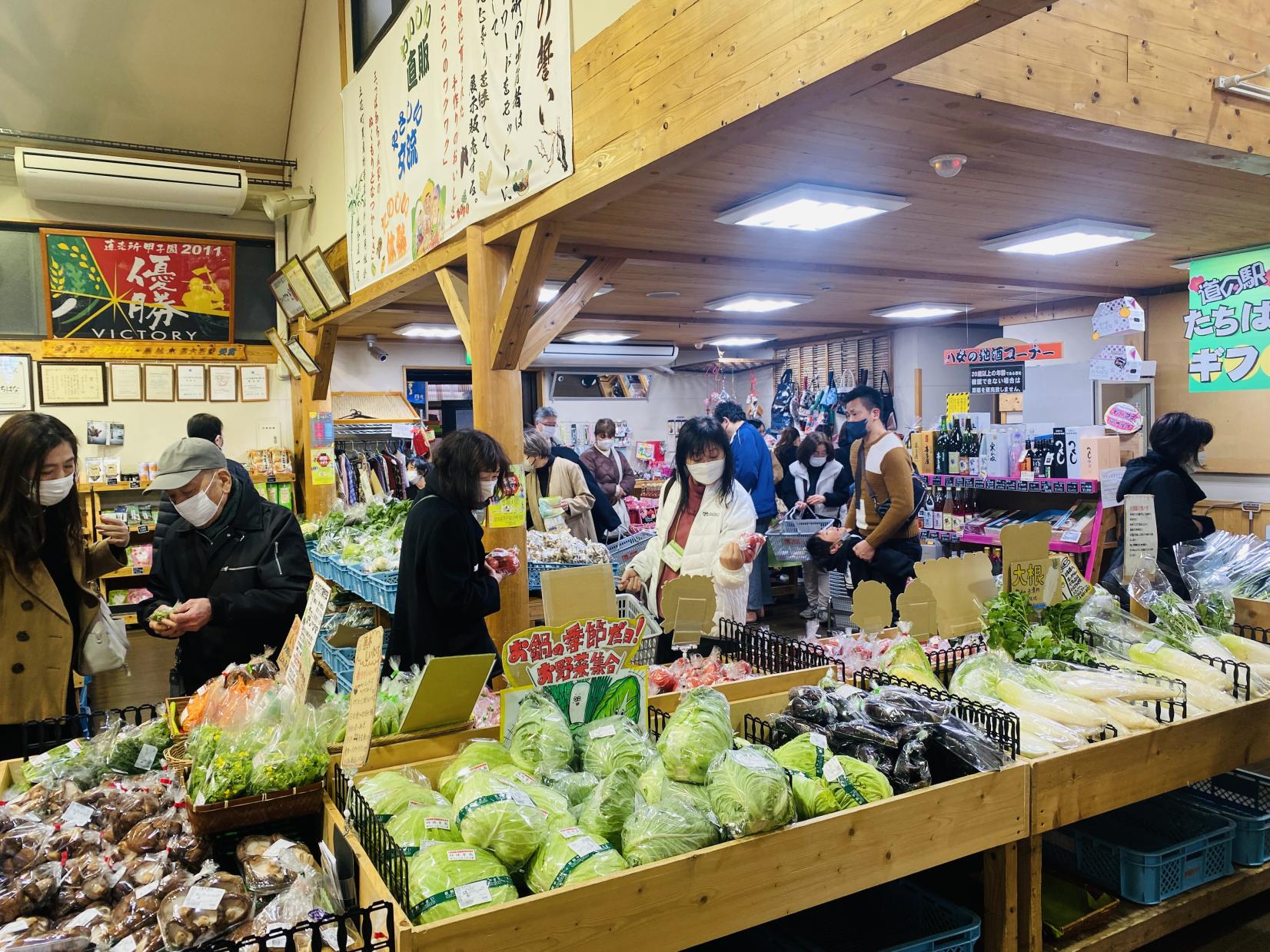 旅する茶のくにバスツアー「八女ぼんぼりまつりと観梅会」-3