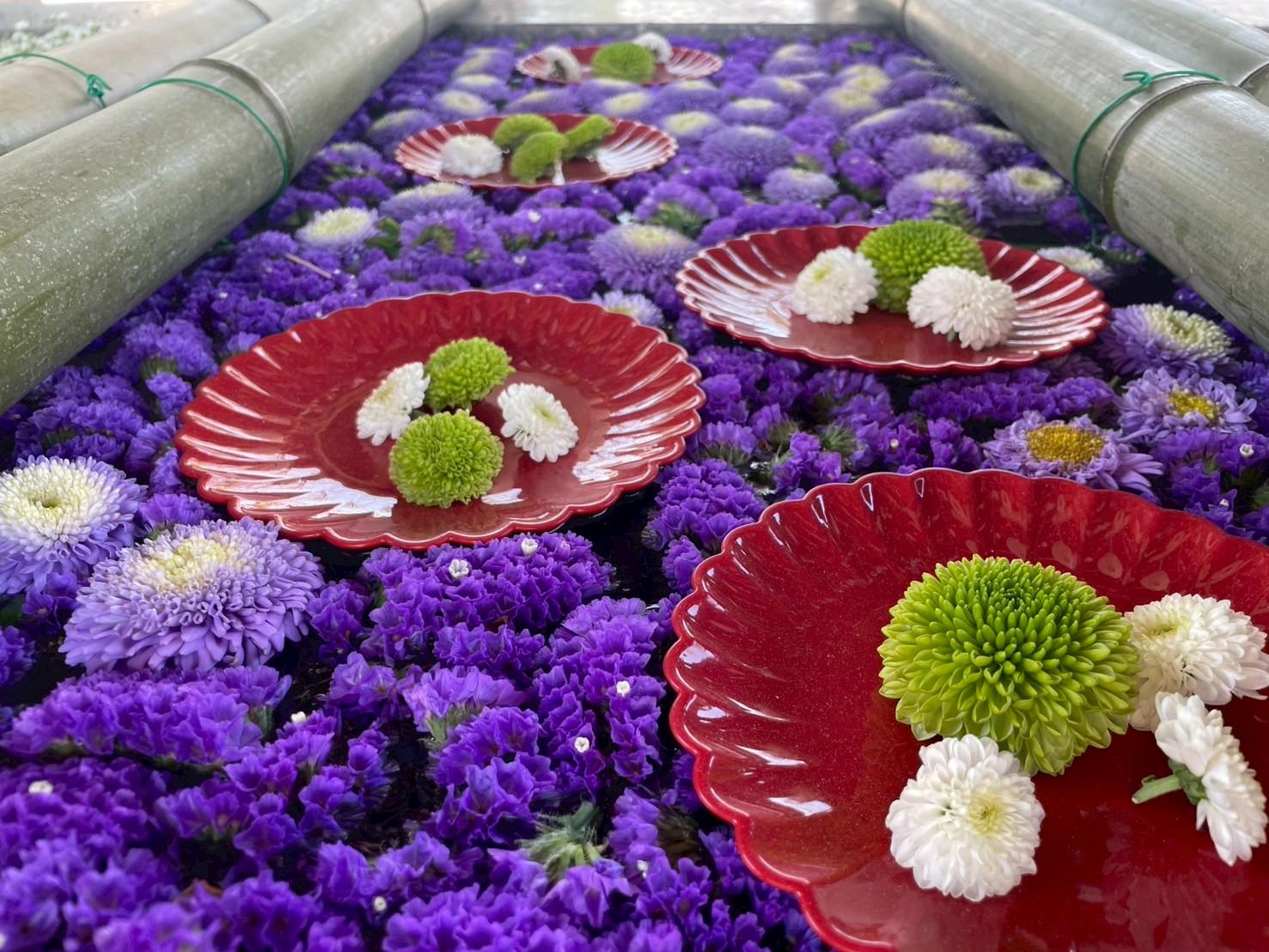 【多賀神社】桃まつり-1