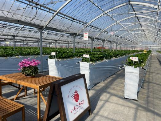 いちごきらり みのうヴィレッジ-2