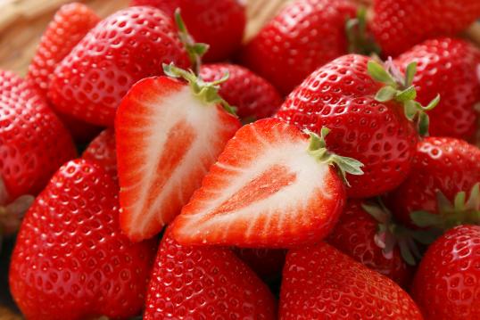 福智町×JAL観光物産展 in北九州空港-8