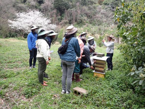初心者向けニホンミツバチ飼育講座2026-1