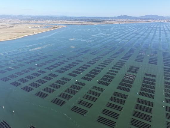 海苔すき体験・工場見学＆食の体験-1