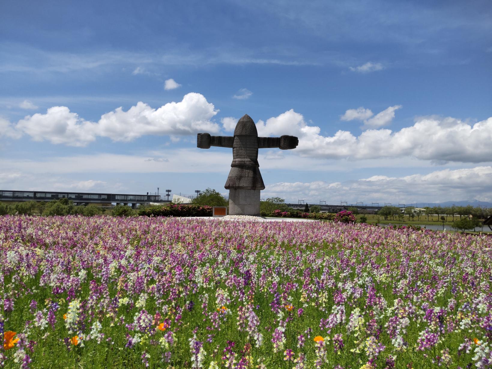 【福岡県営筑後広域公園】体験エリアのワイルドフラワー-1
