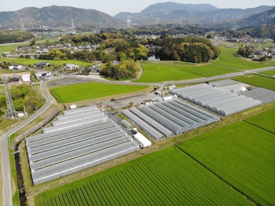 らいおん果実園-2