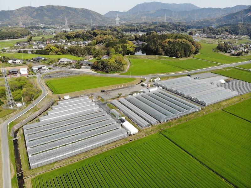 らいおん果実園-2