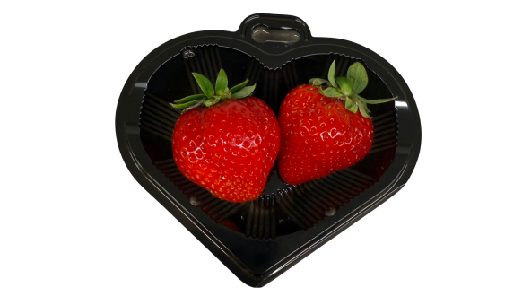 ふくおかあまおうマルシェ-2