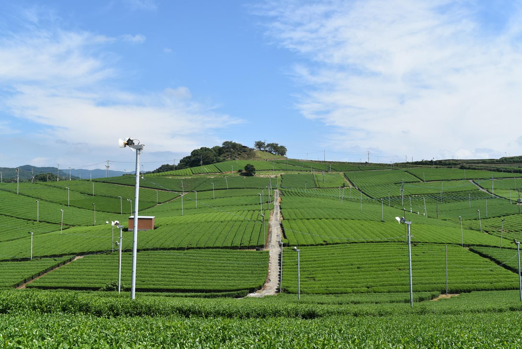 旅する茶のくにバスツアー「蔵の香りと匠の技」-2