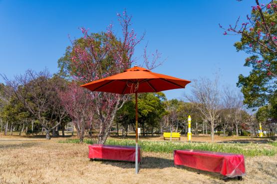 【海の中道海浜公園】早春ハッピーフェスタ2026-7