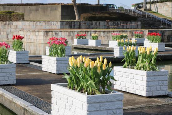 【海の中道海浜公園】早春ハッピーフェスタ2026-3