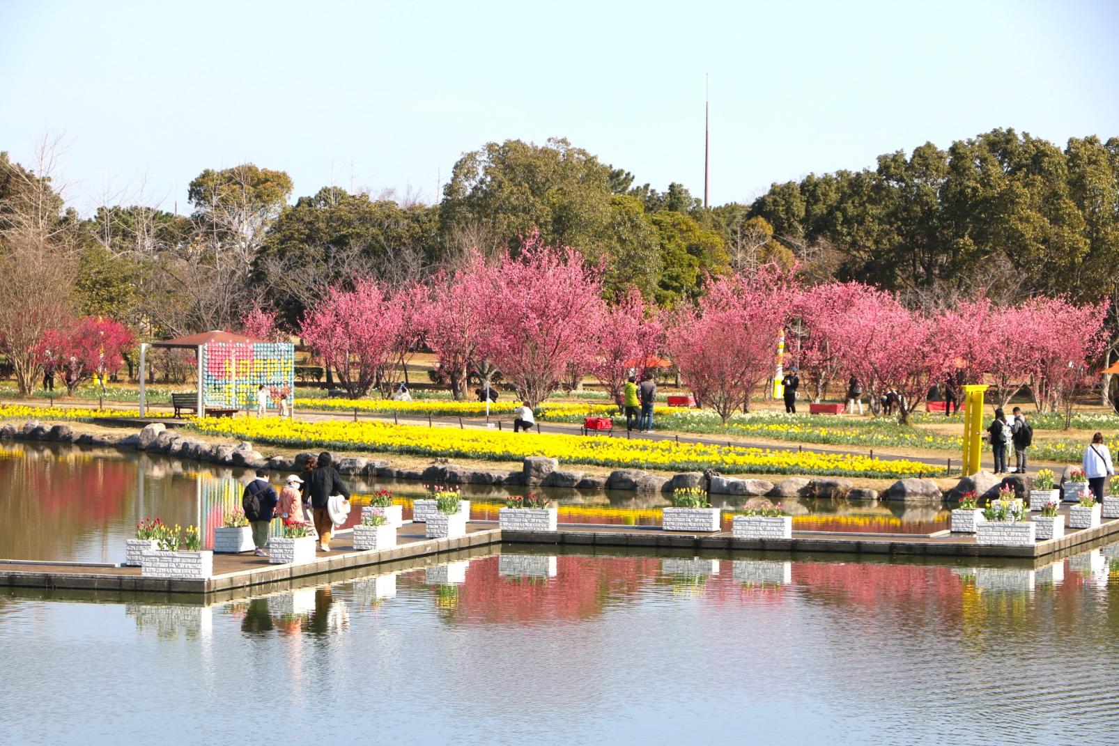 【海の中道海浜公園】早春ハッピーフェスタ2026-4
