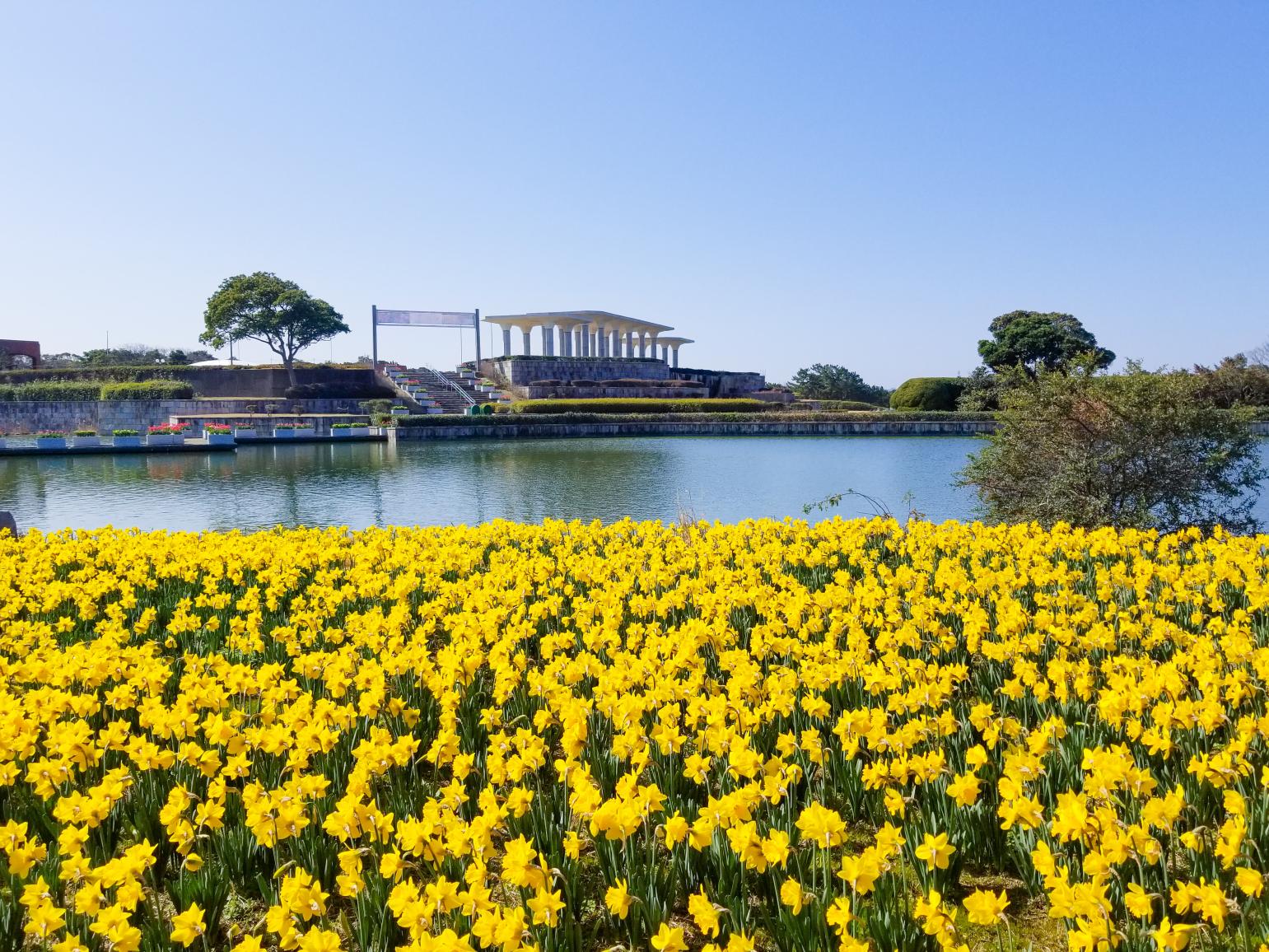 【海の中道海浜公園】早春ハッピーフェスタ2026-1